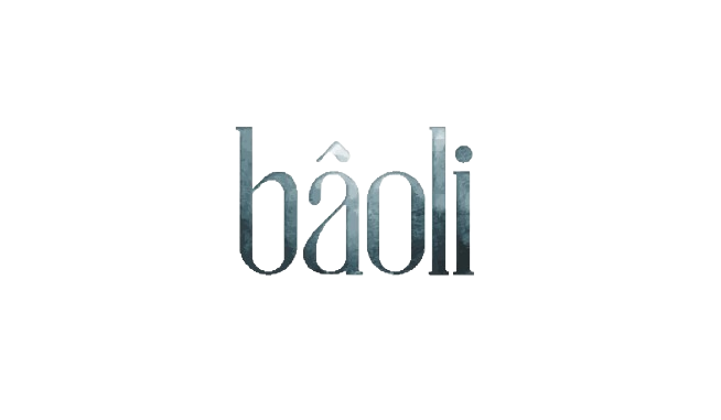 Baoli-removebg-preview.png