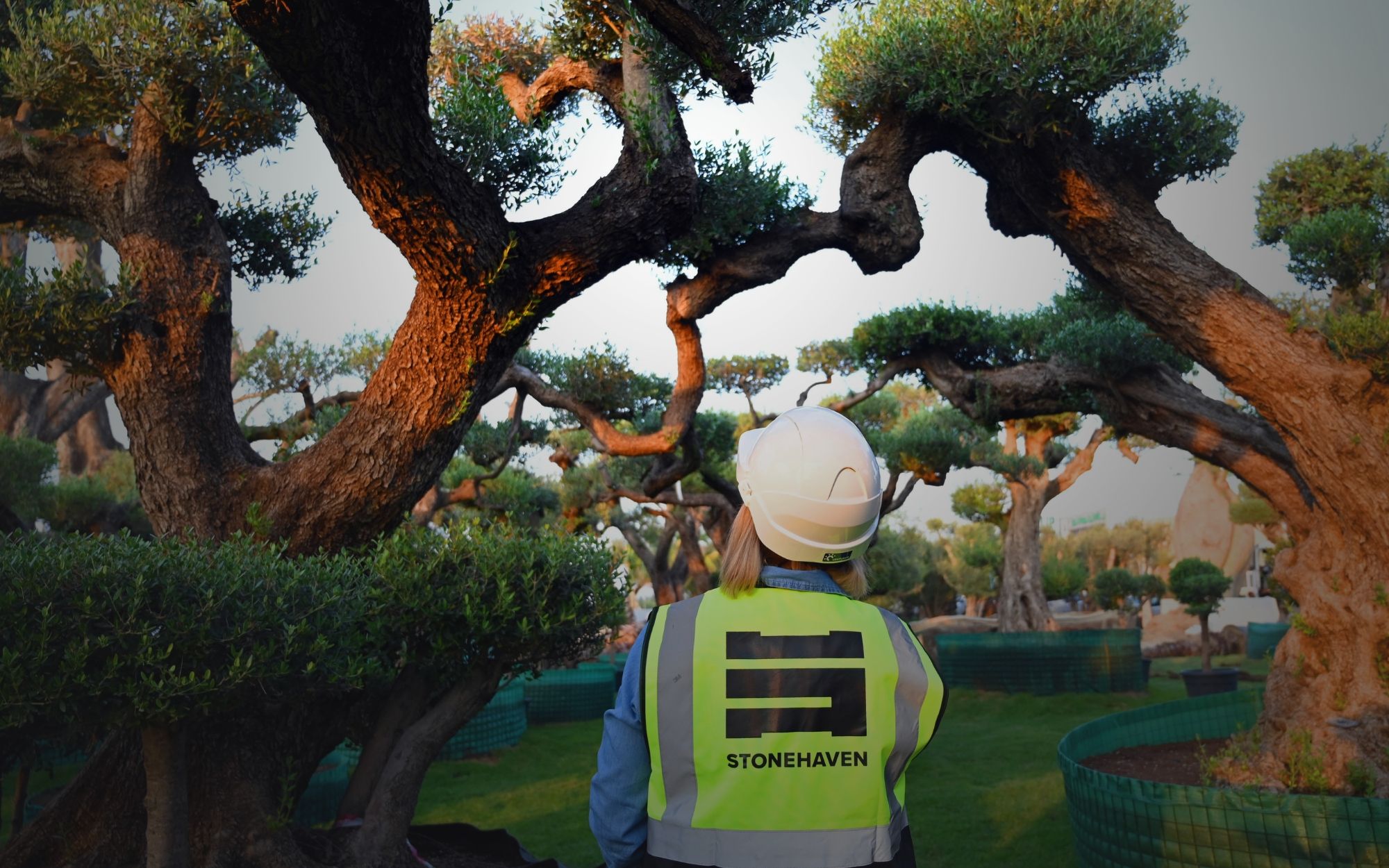 About Us Sustainability Desktop.jpg