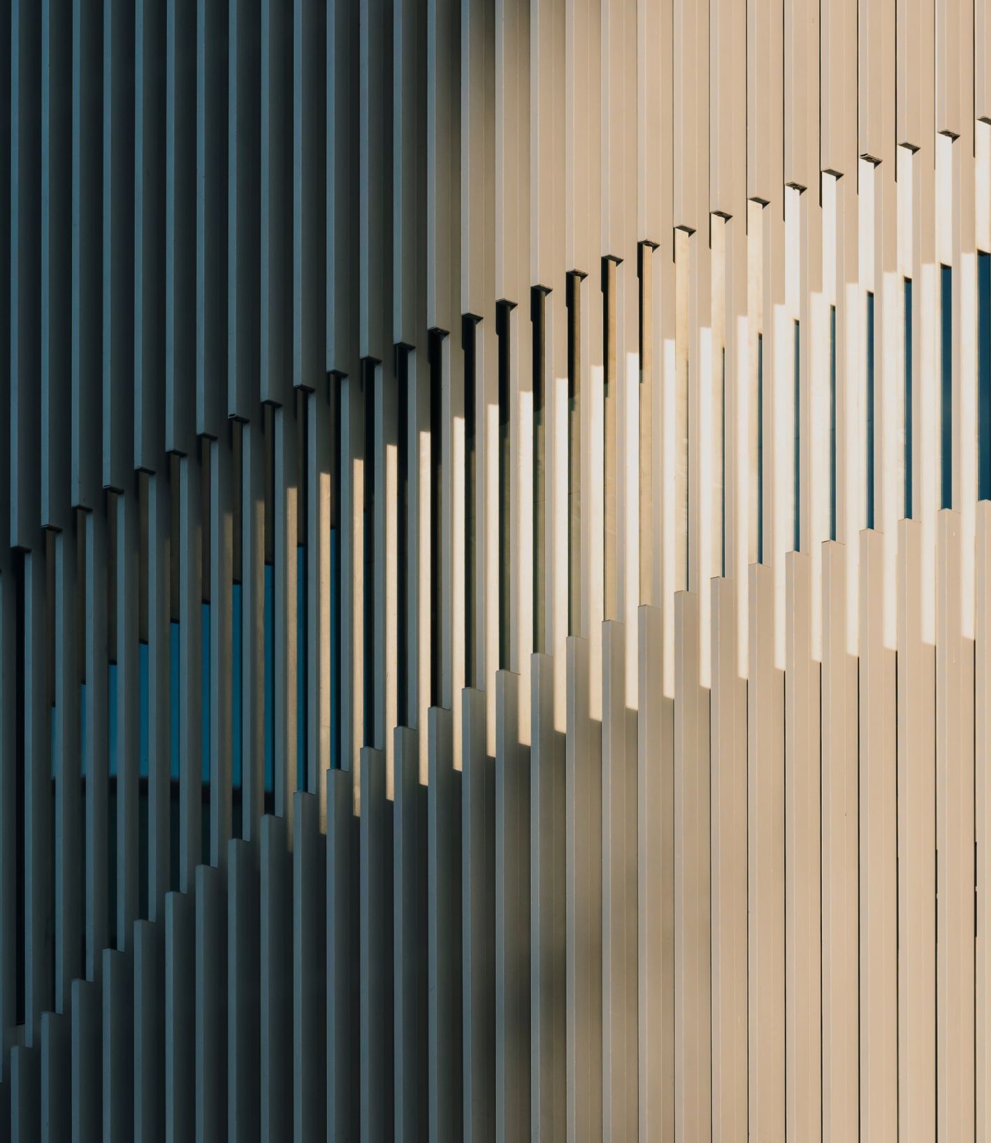 Right Background Bheind imaage.jpg